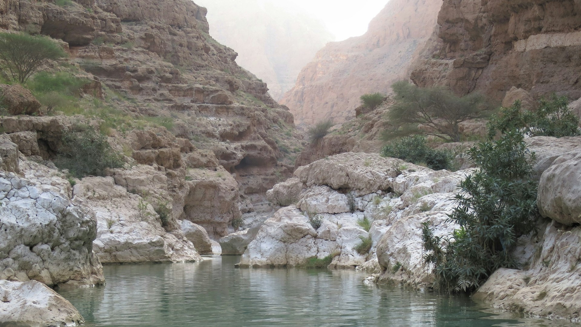 Rocky wadi landscape in Oman